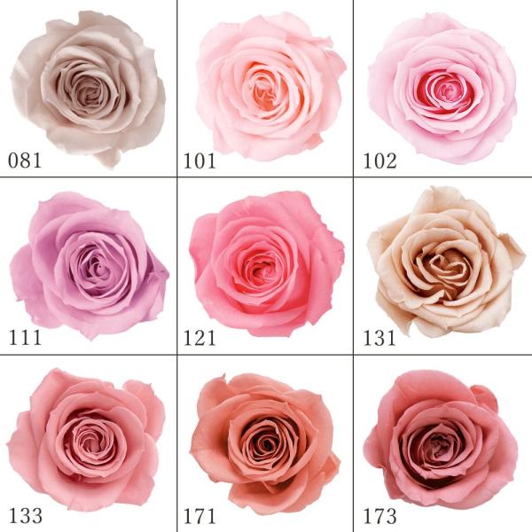 プリザーブドフラワー 花材 とりよせ品 ローズ・いずみ(1箱9輪入り) ドライフラワー 花材 素材 ...