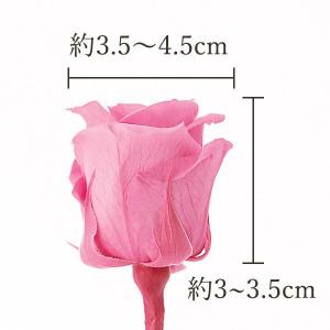 プリザーブドフラワー 花材 とりよせ品 ローズ...の詳細画像3