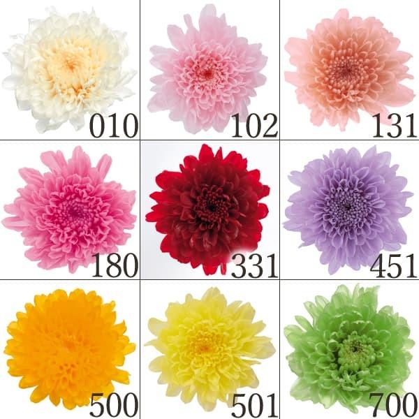 【P5倍中 12/02 09:59迄】 プリザーブドフラワー 花材 とりよせ品 小菊(1箱12輪入り...
