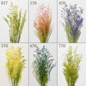 プリザーブドフラワー 花材 とりよせ品 カスピア...の商品画像
