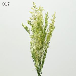 プリザーブドフラワー 花材 とりよせ品 カスピ...の詳細画像1