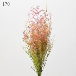 プリザーブドフラワー 花材 とりよせ品 カスピ...の詳細画像2