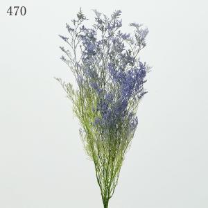 プリザーブドフラワー 花材 とりよせ品 カスピ...の詳細画像3