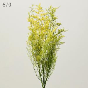 プリザーブドフラワー 花材 とりよせ品 カスピ...の詳細画像4