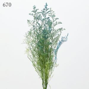 プリザーブドフラワー 花材 とりよせ品 カスピ...の詳細画像5