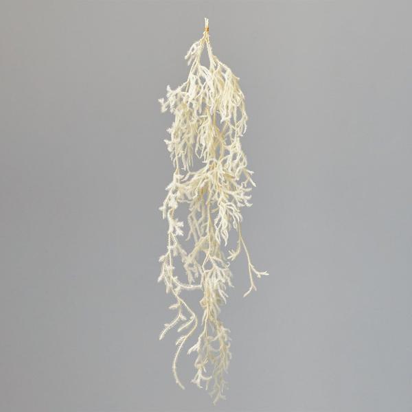 【P5倍中 12/02 09:59迄】 プリザーブドフラワー 花材 とりよせ品 ヒカゲノカズラ 花材...