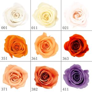 プリザーブドフラワー 花材(5)　ローズ　4個 プリザーブドフラワー 花材(5) ローズ 4個 RedRose5(ブラウン