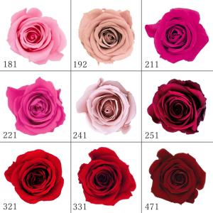 プリザーブドフラワー 花材 とりよせ品 ローズ...の詳細画像1