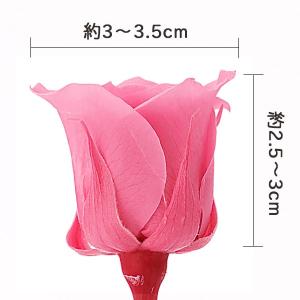 プリザーブドフラワー 花材 とりよせ品 ローズ...の詳細画像3