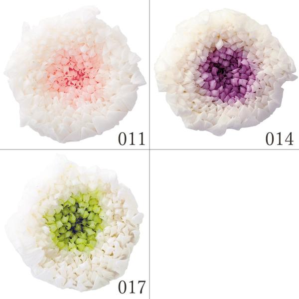【P5倍中 7/14 9:59まで】 プリザーブドフラワー 花材 とりよせ品 輪菊・小・ミルフィーユ...