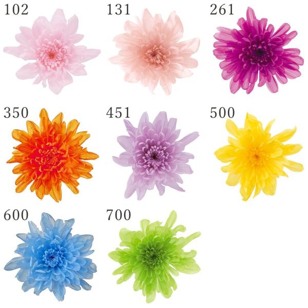 【P5倍中 12/02 09:59迄】 プリザーブドフラワー 花材 とりよせ品 ことね菊(1箱6輪入...