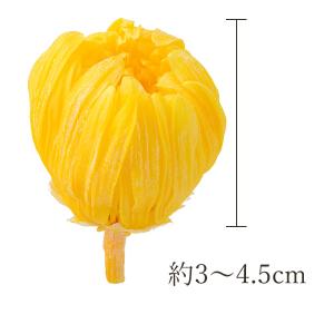 プリザーブドフラワー 花材 とりよせ品 輪菊・...の詳細画像3