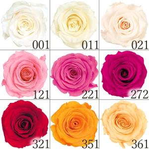 プリザーブドフラワー 花材 即日出荷 リサ ローズ カラーアソート 素材