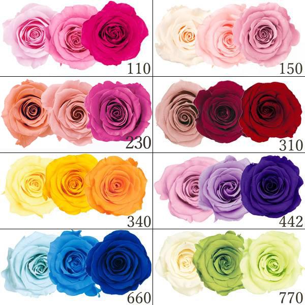 プリザーブドフラワー 花材 とりよせ品 ローズ・かのん・M・カラーアソート(9輪入り) ドライフラワ...