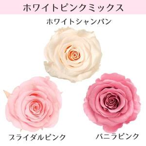 プリザーブドフラワー 花材 とりよせ品 ローズ...の詳細画像2