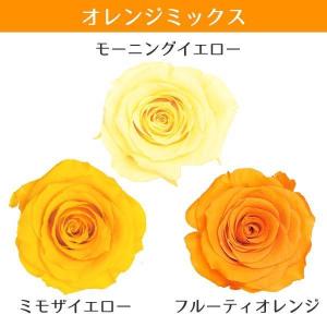 プリザーブドフラワー 花材 とりよせ品 ローズ...の詳細画像5