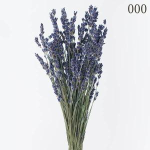 ドライフラワー 花材 とりよせ品 ラベンダー・イ...の商品画像