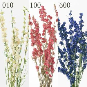 ドライフラワー 花材 とりよせ品 デルフィニュー...の商品画像