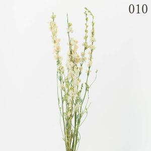 ドライフラワー 花材 とりよせ品 デルフィニュ...の詳細画像1