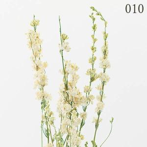ドライフラワー 花材 とりよせ品 デルフィニュ...の詳細画像2