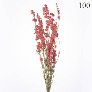 ドライフラワー 花材 とりよせ品 デルフィニュ...の詳細画像3