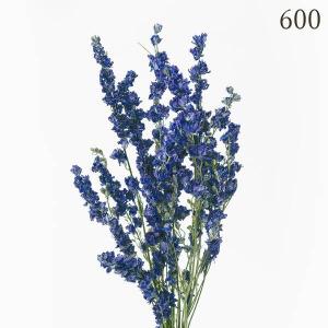 ドライフラワー 花材 とりよせ品 デルフィニュ...の詳細画像5