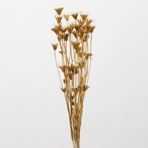 ドライフラワー 花材 即日出荷 ブルーマリーリーフ ゴールド リーフ 葉