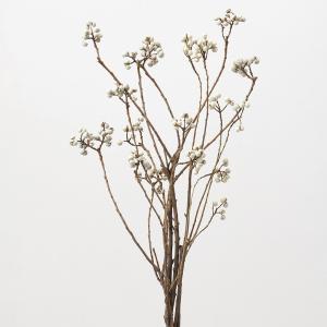 ドライフラワー 花材 とりよせ品 ナンキンハゼ・ステム付き 花材 素材 材料 パーツ 実 なんきんはぜ インテリア ディスプレイ スワッグ リース 大地農園