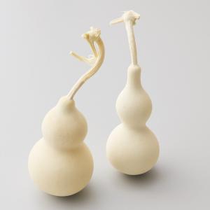 ドライフラワー 花材 とりよせ品 ひょうたん 花...の商品画像