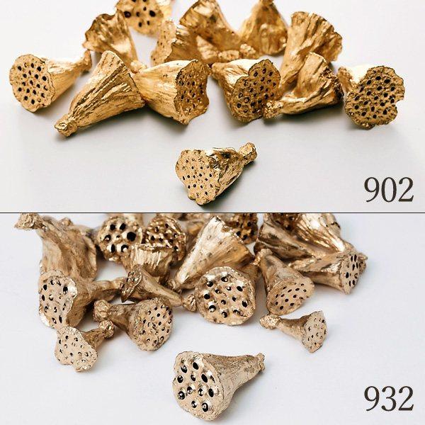 【P5倍中 12/02 09:59迄】 ドライフラワー 花材 とりよせ品 ミニハス・小 木の実 フル...