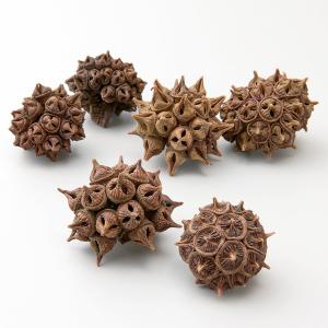 ドライフラワー 花材 とりよせ品 スパイダーガム・ノブ 花材 素材 材料 パーツ 実 ユーカリ スワッグ リース アレンジ アレンジメント 自然素材 大地農園
