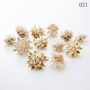 ドライフラワー 花材 とりよせ品 スターコーン・ヘッド 木の実 フルーツ 果実 ナッツ ドライ 自然素材 ドライフラワー ナチュラルドライフラワー 大地農園