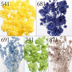 ドライフラワー 花材 とりよせ品 クリスパム ...の詳細画像1