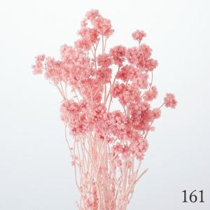 ドライフラワー 花材 とりよせ品 クリスパム ...の詳細画像4