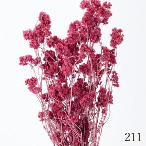 ドライフラワー 花材 とりよせ品 クリスパム ...の詳細画像5