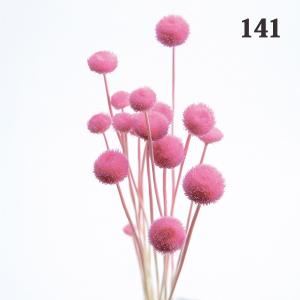 ドライフラワー 花材 とりよせ品 アマレリーフ...の詳細画像1