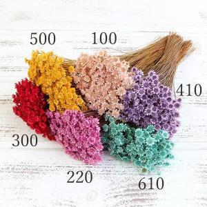 《ドライフラワー 花材》とりよせ品大地農園 スターフラワー・プティ