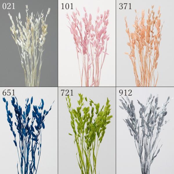 ドライフラワー 花材 とりよせ品 ワイルドオーツ 花材 素材 材料 パーツ 穂もの ピンク 青 ブル...