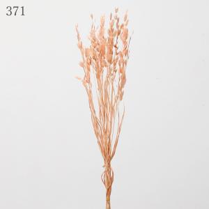 ドライフラワー 花材 とりよせ品 ワイルドオー...の詳細画像5