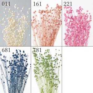 ドライフラワー 花材 とりよせ品 リンフラワー ドライ 自然素材 ナチュラルドライフラワー インテリア インテリアフラワー プリ プリザ スワッグ 大地農園