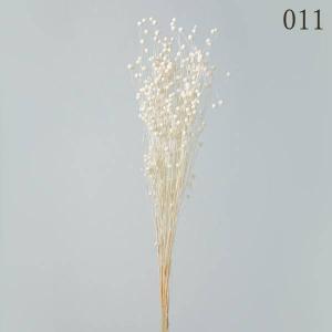 ドライフラワー 花材 とりよせ品 リンフラワー...の詳細画像1