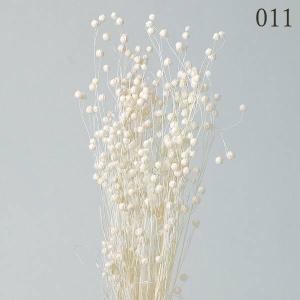 ドライフラワー 花材 とりよせ品 リンフラワー...の詳細画像2