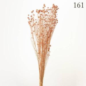 ドライフラワー 花材 とりよせ品 リンフラワー...の詳細画像3