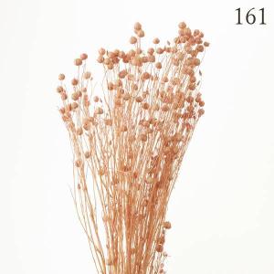 ドライフラワー 花材 とりよせ品 リンフラワー...の詳細画像4