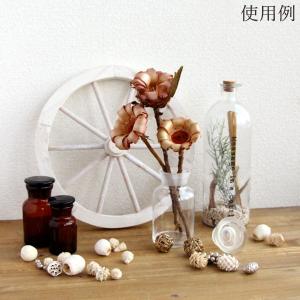 ドライフラワー 花材 とりよせ品 ネリフォリア...の詳細画像5