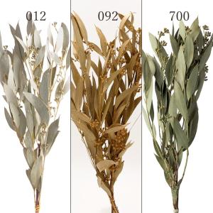 【P10倍中 4/20 9:59迄】 ドライフラワー 花材 とりよせ品 アンバーリーフ・実付 ユーカリ 花材 素材 材料 パーツ 葉 リーフ 実付き 迎春アレンジ 大地農園