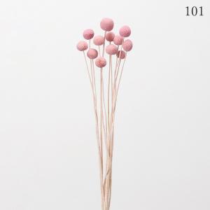 ドライフラワー 花材 とりよせ品 ビリーボタン...の詳細画像1