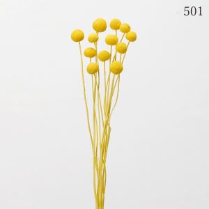 ドライフラワー 花材 とりよせ品 ビリーボタン...の詳細画像3