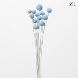 ドライフラワー 花材 とりよせ品 ビリーボタン...の詳細画像4