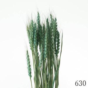 ドライフラワー 花材 とりよせ品 小麦 自然素...の詳細画像1